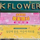 화원농협 | 봄맞이 꽃구경 : 한국화훼농협 케이플라워 대화점