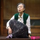 손숙 카카오 검색결과