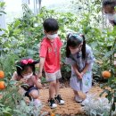 낙성대동-26 이미지