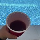 택견 | [세부] 아이와 클럽세부 호핑 투어(feat. 세부 옥택견) 솔직후기