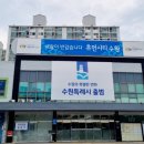 에스에이치인터네셔널 미디어투데이