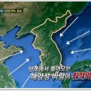 인삼불로초 이미지