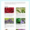 댕댕이 그루밍 이미지