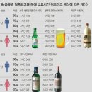 술 종류별 몸에서 알콜이 해독되는 시간 이미지