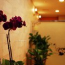 더블유엠 이미지