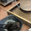 진주중앙중학교 | 진주카페추천 하대동 느좋카페 "피베리브라더스"에서 내돈내산 참숯까뇰레 먹은 솔직후기
