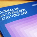 노들담한의원 이미지