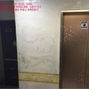 강서구-46 이미지