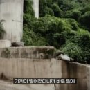 도순동-3 이미지