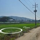 여주길상부동산공인중개사사무소 이미지