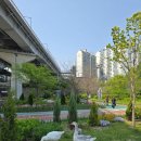 응봉역 | 250429 서울 튤립 명소, 성동구 응봉역 용비쉼터