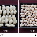 아원 이미지