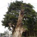 선흘1리보건진료소 이미지