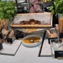 마리나부페 | 싱가포르 마리나베이샌즈 조식뷔페 맛집 라이즈 가격·메뉴·후기 총정리