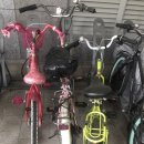 연가교옆 이미지