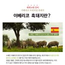 환영식당 이미지