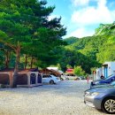 왕피천관광농원 이미지