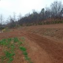 새벽숲농장 이미지