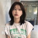 그린비 이미지