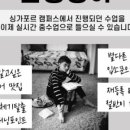 룰루영어 이미지
