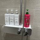 키즈풀빌라똥강아지 이미지