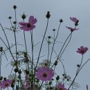 명문요양병원 이미지