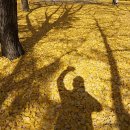 북면우체국 이미지