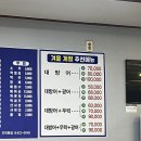 별양로 | 제철 생선회 겨울 대방어 전어구이 우럭 전복구이 내돈내산 솔직후기 (with. 르레브디저트 감귤케이크)