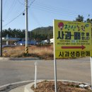 만리포주유소 이미지