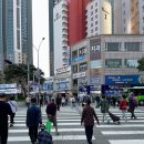 롯데캐슬 앞 횡단보도 이미지