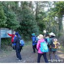 오름이야기 이미지