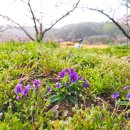 선웅농원 이미지