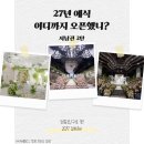 P-5F02 | [2027 결혼준비] 서울 서남권 웨딩홀 27년 오픈 현황 2탄 (feat. 각양각색의 밝은홀과 어두운홀)