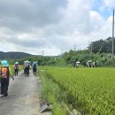 시외버스터미널(터미널사거리) 이미지