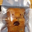 밤마을 이미지