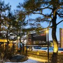 토담 | 춘천 닭갈비 현지인 맛집 원조 삼색숯불닭갈비 토담숯불닭갈비 후기