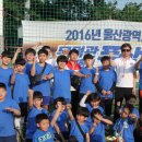 푸르른 태권도장 이미지