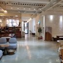 커핑 브레드 이미지