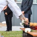 압구정동물의료센터 이미지