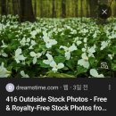 신안대우의료재단 | 1월 4주