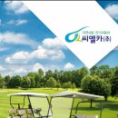 모든카써비스 이미지