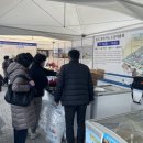 신안소금