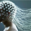 13헤르츠 이미지