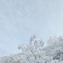 시현목장 이미지