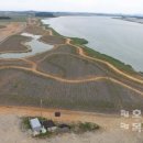 보전간척지 이미지