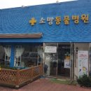소망종합동물병원야간진료