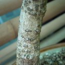 정읍휴게소(하) 이미지