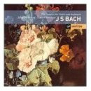 칸타빌레 바이올린 이미지