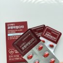 피시케어 | "나이 들수록 필요한 항산화 케어, 슈어메디 코엔자임Q10으로 시작!"