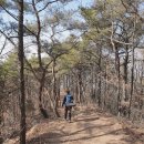 문수산산림욕장(야외화장실) 네이버블로그